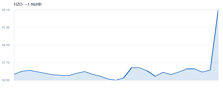 HZO MarineMax, Inc.  (FL)